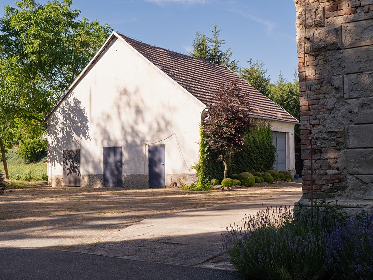 Haus zum Kauf, 300 m² (9 von 13)