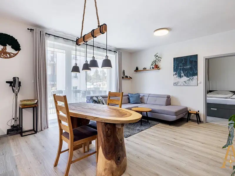 Prodej bytu 2+kk 53 m², Plzeň – náhled fotky 2