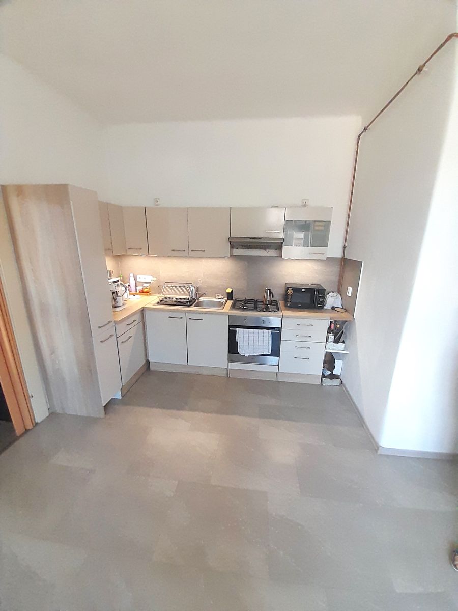 Pronájem bytu 1+1 42 m²