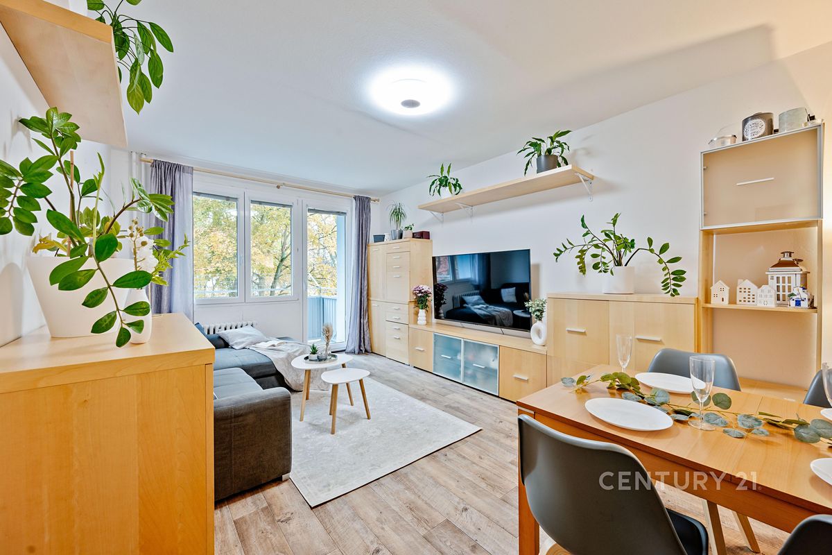Pronájem bytu 2+1 57 m²