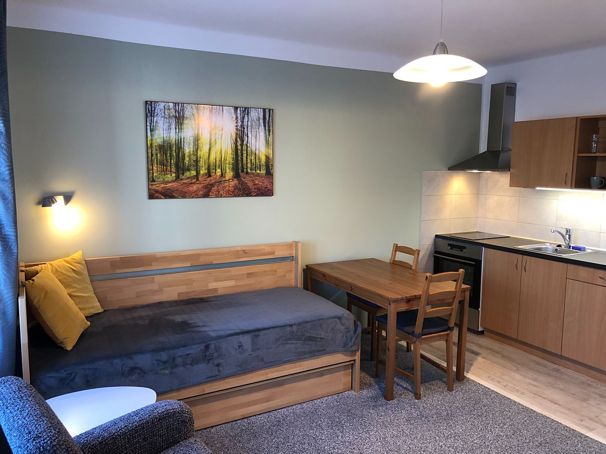 Pronájem bytu 1+kk 30 m²