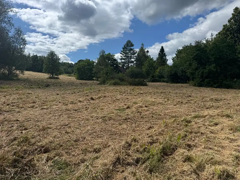 Prodej pozemku 7724 m², Město Albrechtice – náhled fotky 2