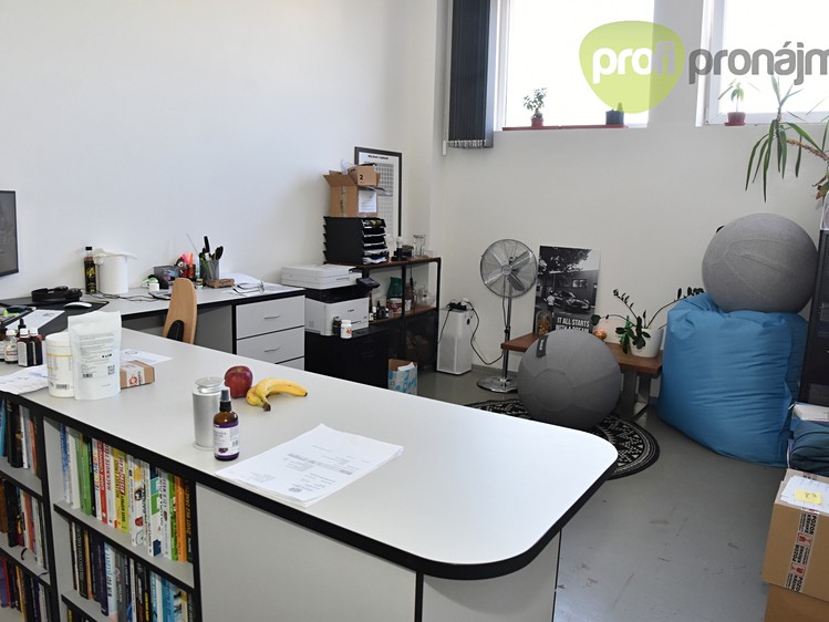 Pronájem komerčního prostoru, 701 m² (2 z 18)