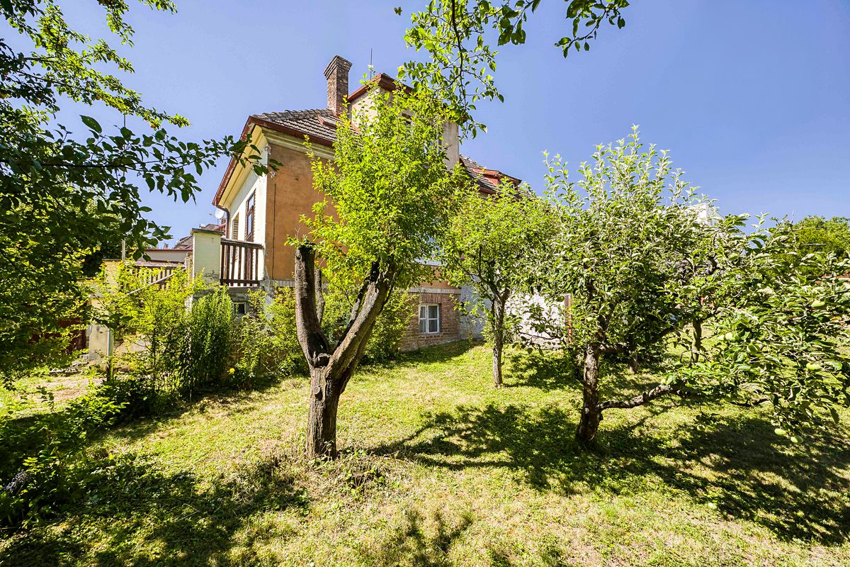 Prodej vily 480 m², pozemek 784 m² – fotografie 5