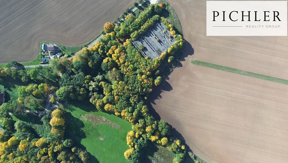 Prodej komerčního pozemku 30021 m² – fotografie 2