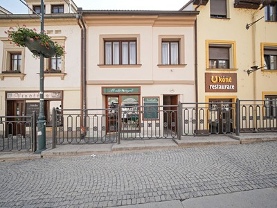 Prodej  rodinného domu 270 m², pozemek 317 m²
