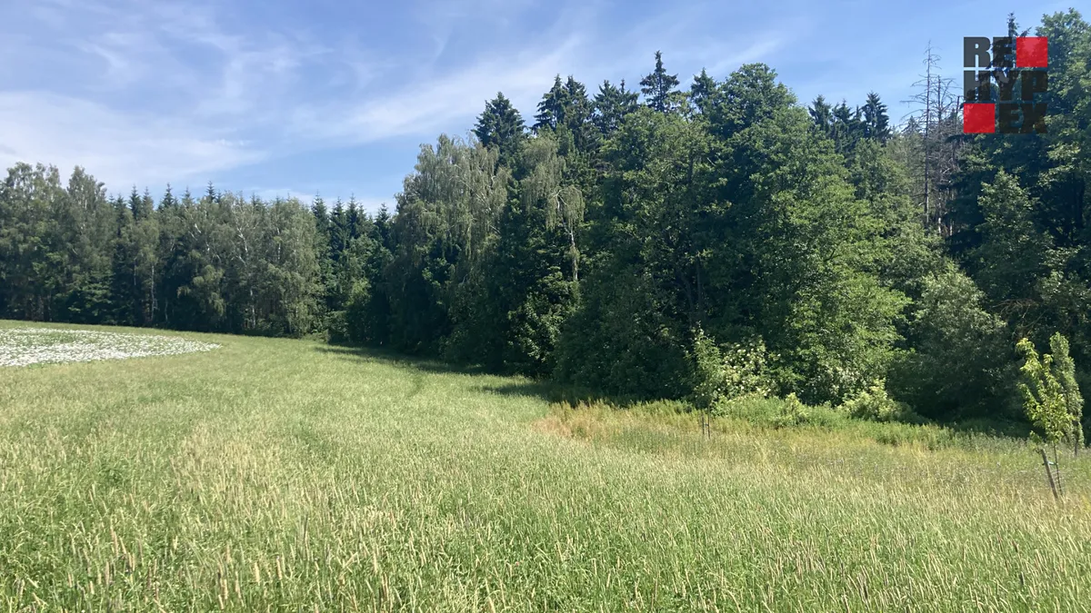 Prodej pole 3130 m²