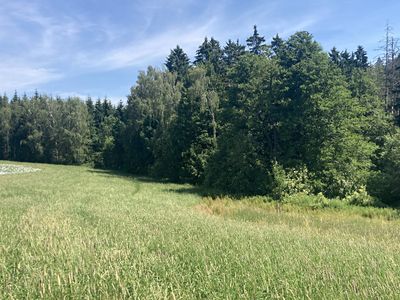 Prodej pole 3130 m²