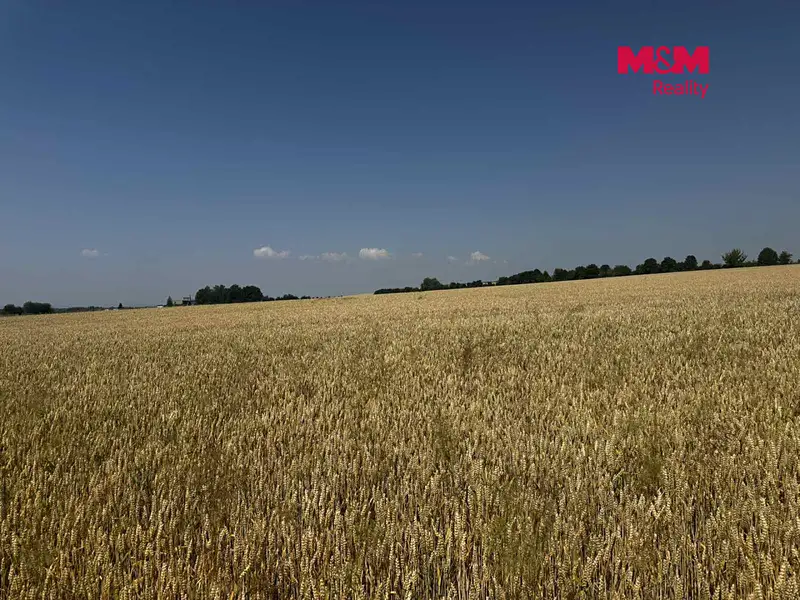 Prodej pole 244621 m², Město Albrechtice – náhled fotky 2