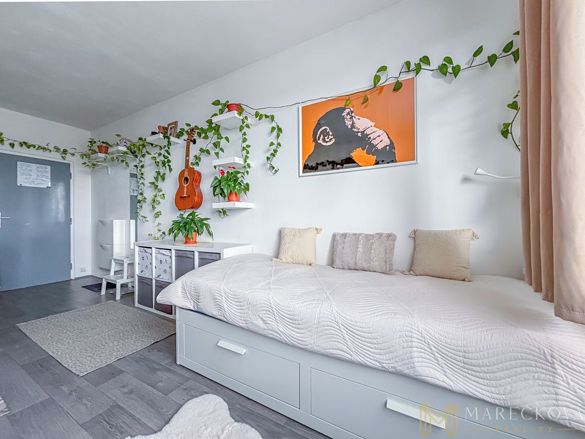 Pronájem bytu 1+kk 20 m²