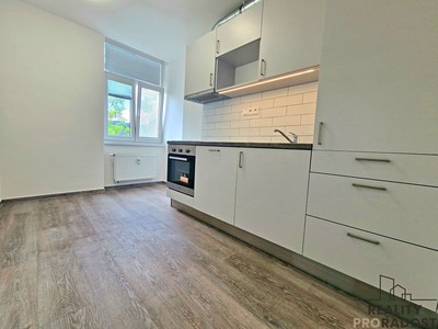 Pronájem bytu 1+1 33 m²
