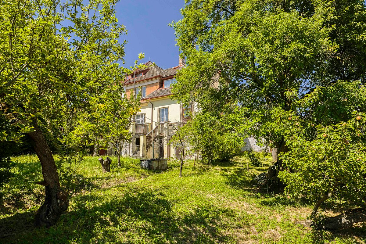 Prodej vily 480 m², pozemek 784 m² – fotografie 4