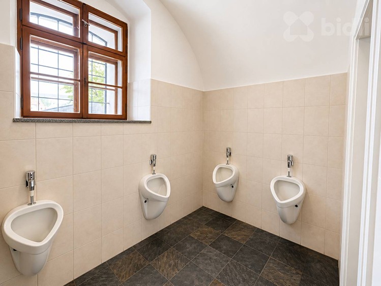 Комерційне приміщення в оренду, 300 м² (15 з 16)
