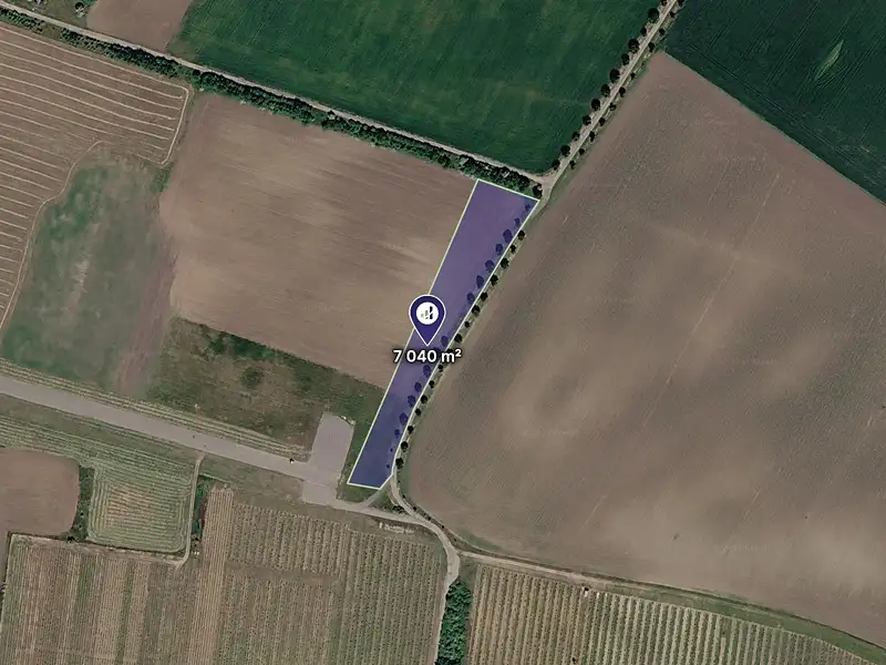 Prodej pole 7040 m², Popice – náhled fotky 1