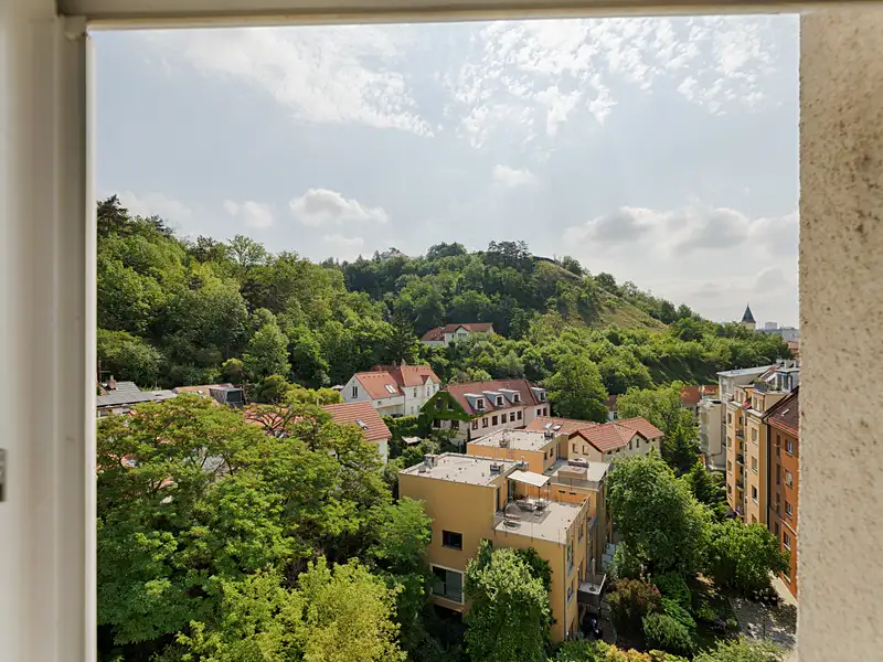 Prodej bytu 1+1 46 m², Praha – náhled fotky 2