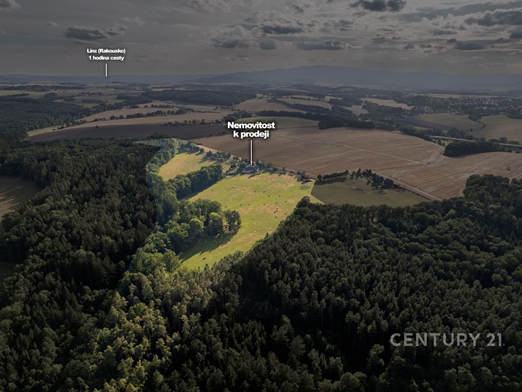 Gewerbefläche zum Kauf, 600 m² (39 von 76)