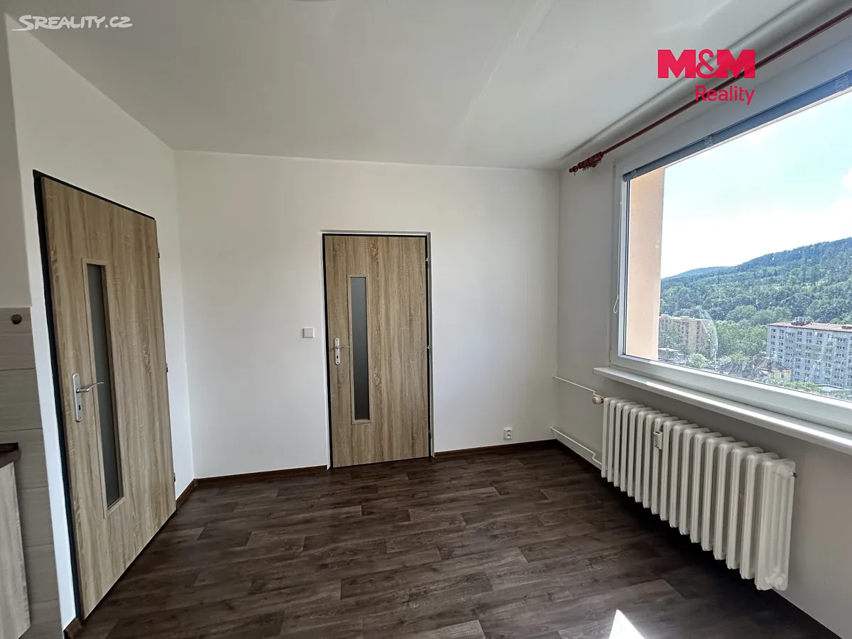 Pronájem bytu 1+1 35 m² – pohled 6