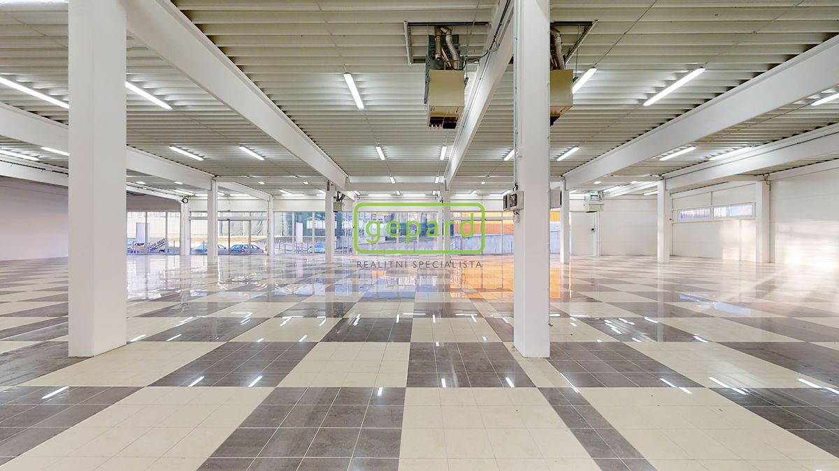 Pronájem obchodního prostoru 698 m²