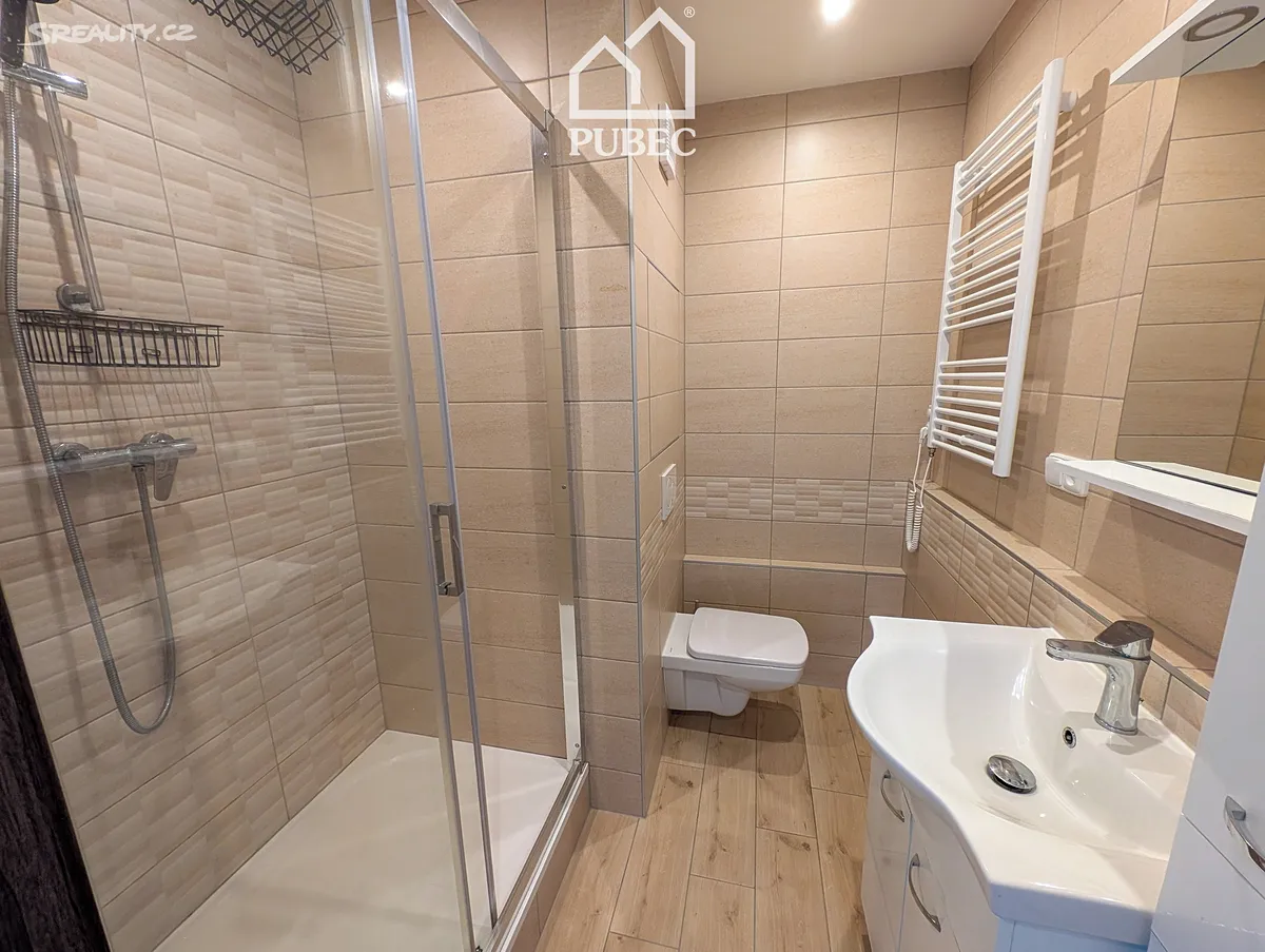 Pronájem bytu 1+1 40 m², Plzeň