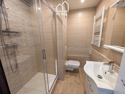 Pronájem bytu 1+1 40 m²