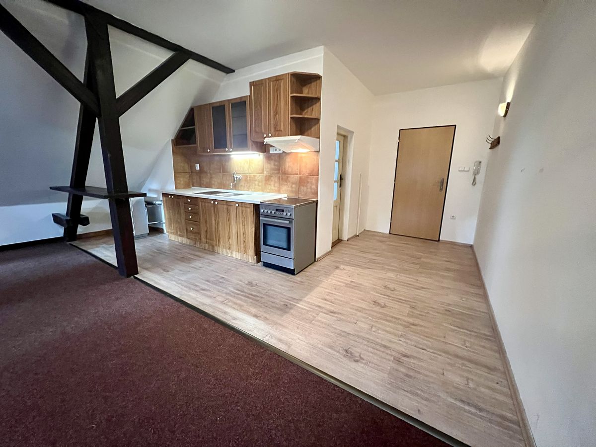 Pronájem bytu 1+kk 48 m²