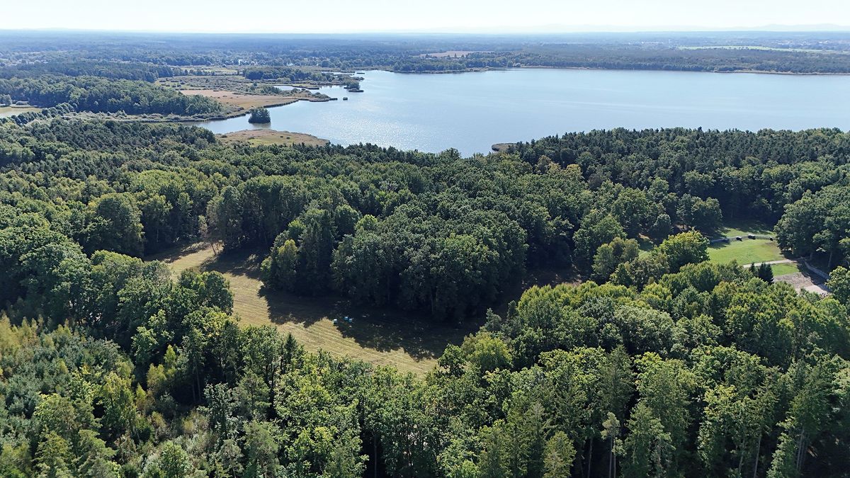 Prodej pole 12377 m² – fotografie 2
