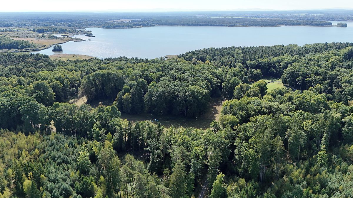 Prodej pole 12377 m² – fotografie 5