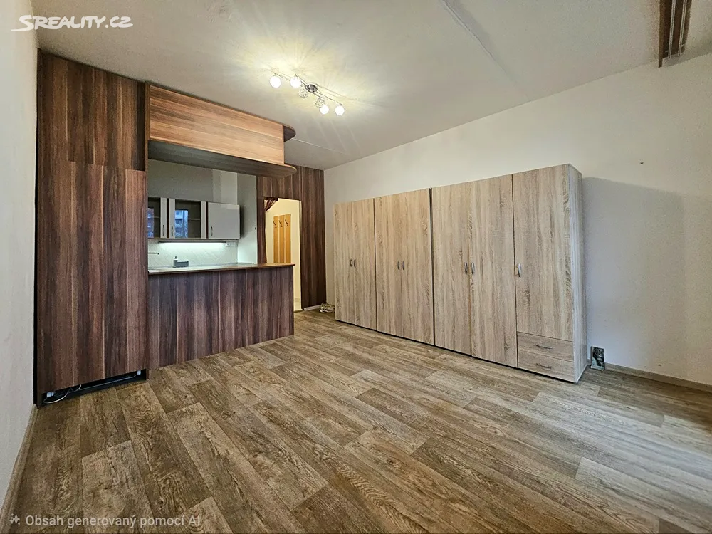 Pronájem bytu 1+kk 28 m², Brno