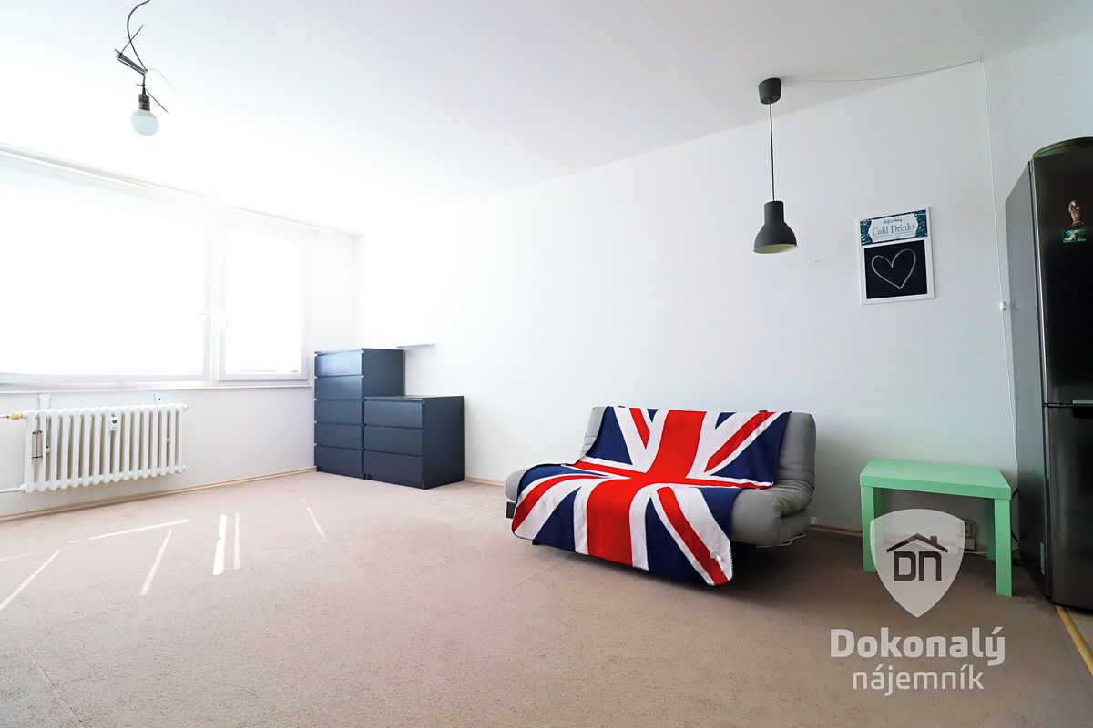Pronájem bytu 1+kk 43 m² – fotografie 3