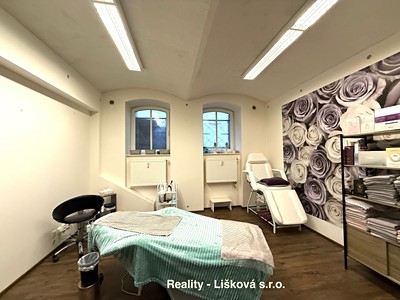 Pronájem komerčního prostoru, 50 m² (2 z 12)