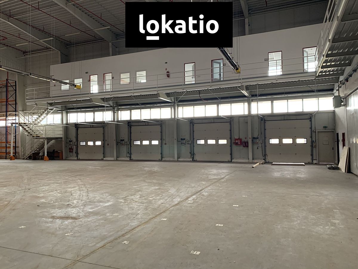 Pronájem skladového prostoru 8618 m² – fotografie 4