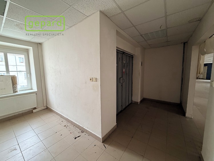 Gewerbefläche zur Miete, 305 m² (4 von 5)