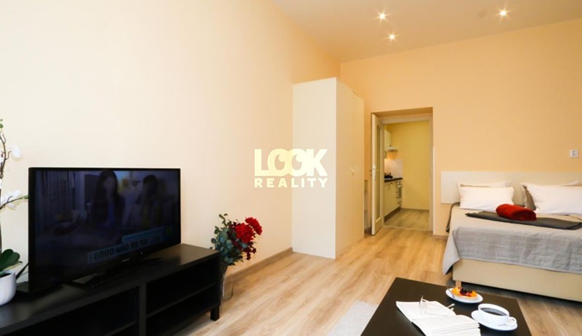Pronájem bytu 1+1 40 m² – fotografie 3