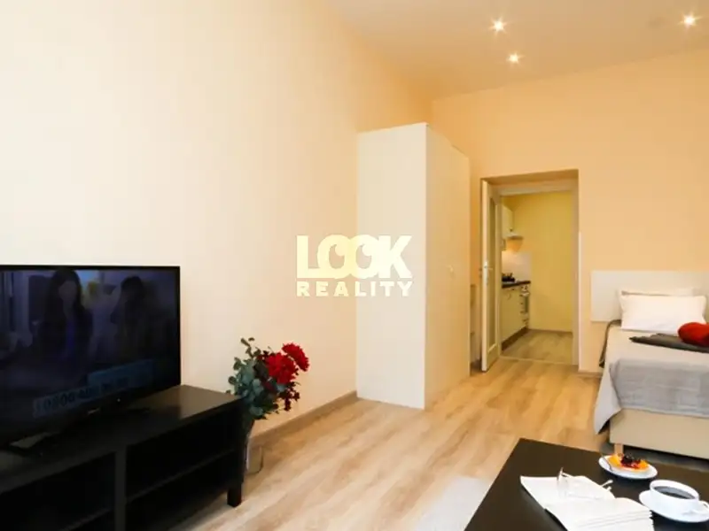 Pronájem bytu 1+1 40 m², Praha – náhled fotky 3