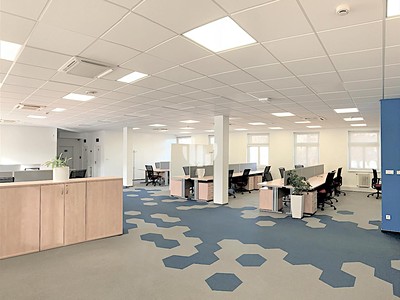 Gewerbefläche zur Miete, 454 m² (3 von 10)