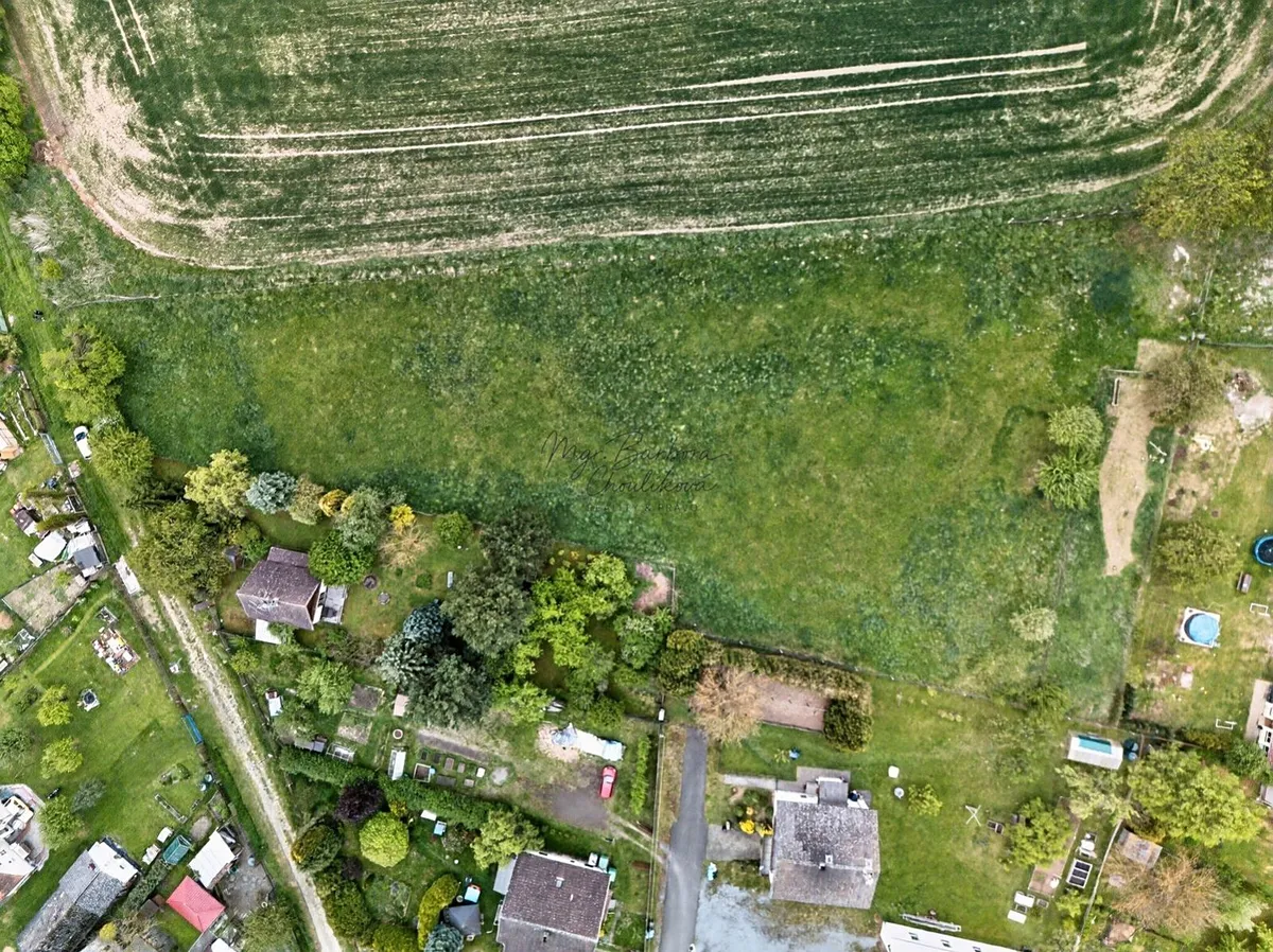Fotka 5 z 16