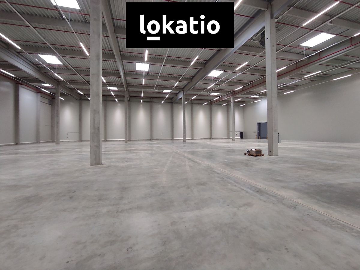 Pronájem skladového prostoru 3858 m² – fotografie 2