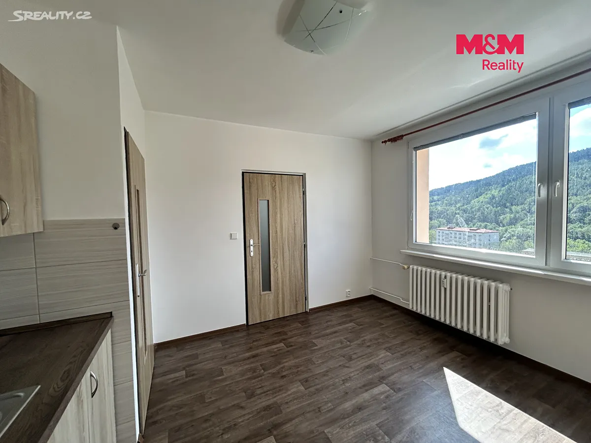 Pronájem bytu 1+1 35 m² – pohled 3