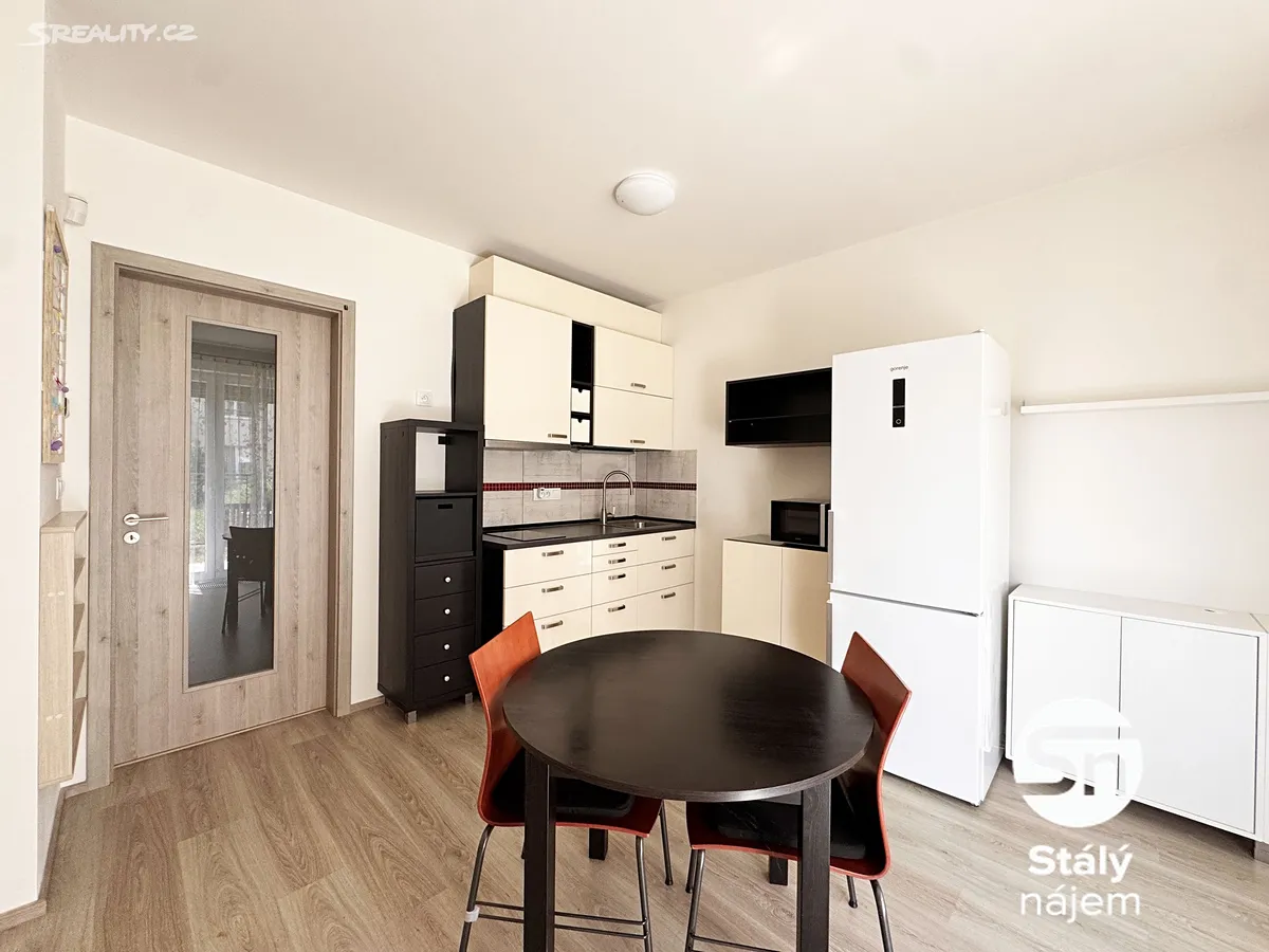 Pronájem bytu 1+kk 32 m² - Widok 2