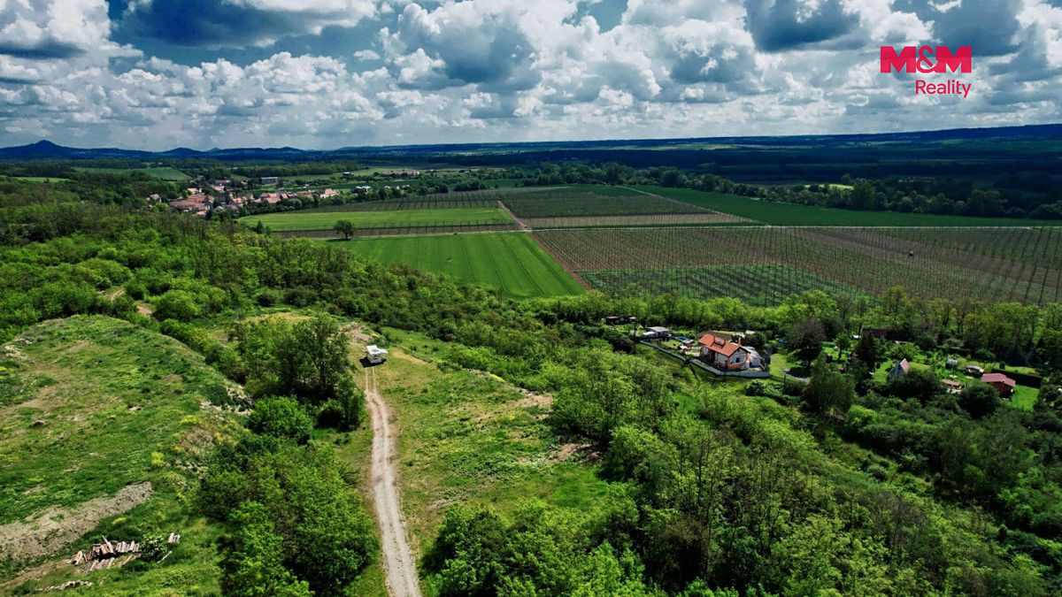 Pronájem stavebního pozemku 24000 m² – fotografie 4