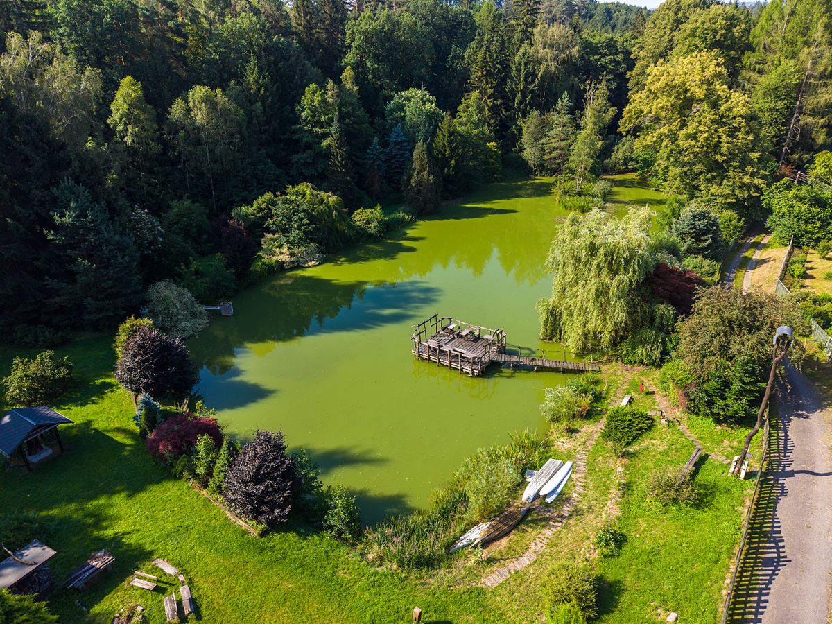 Prodej rodinného domu 250 m², pozemek 18974 m² – fotografie 2