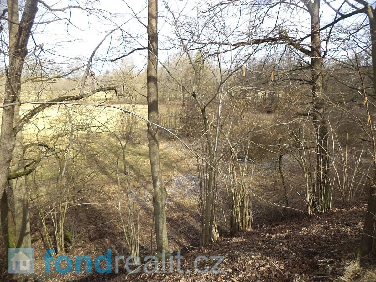 Prodej pozemku 15643 m² – fotografie 5