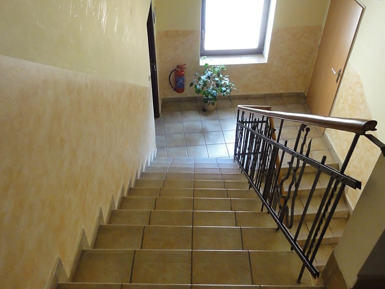 Pronájem komerčního prostoru, 44 m² (6 z 8)