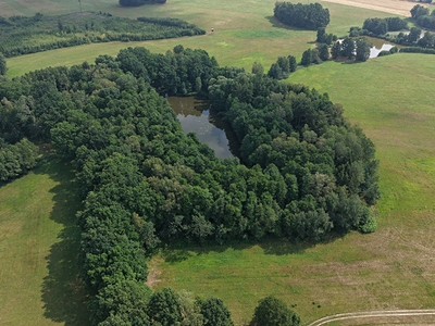 Prodej  lesa 360 000 m²