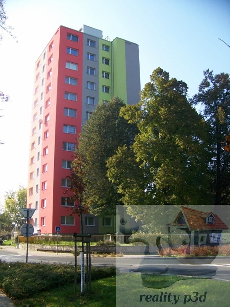 Pronájem bytu 1+1 39 m²