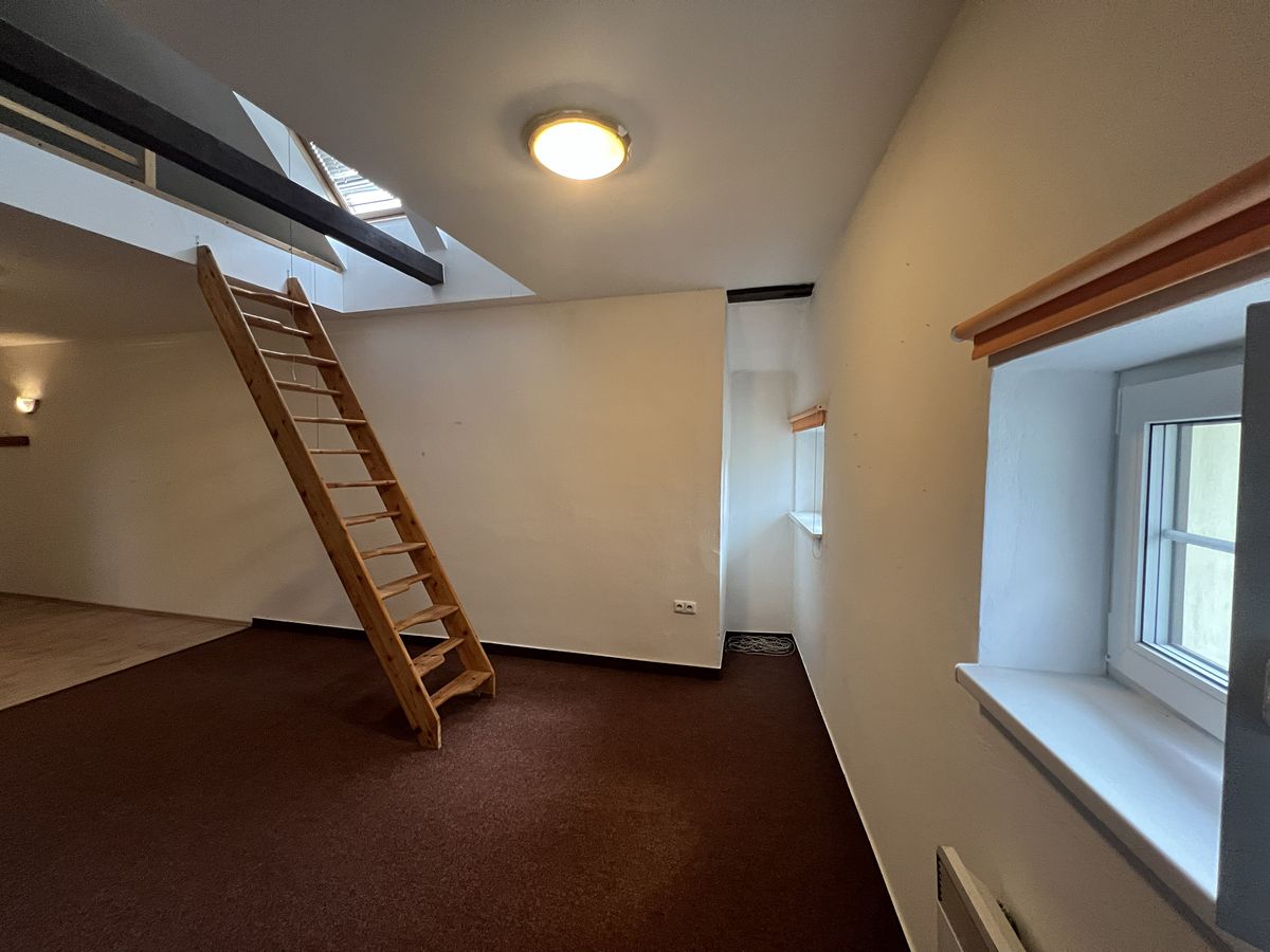 Pronájem bytu 1+kk 48 m² – fotografie 4