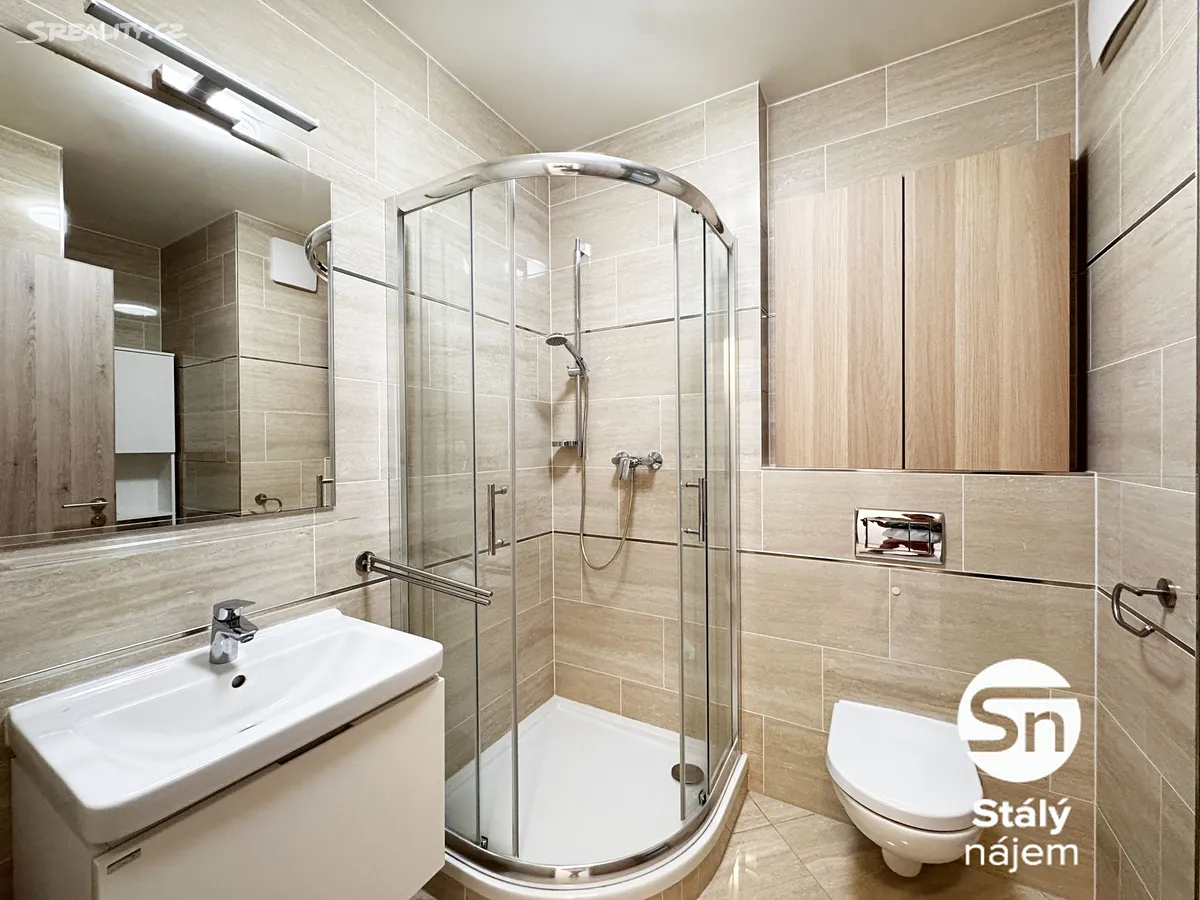 Pronájem bytu 1+kk 32 m² - Widok 6
