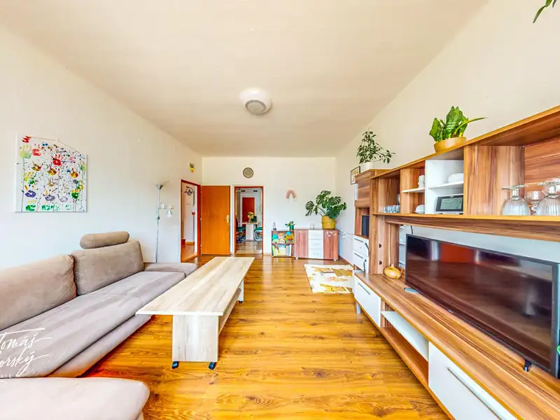 Prodej rodinného domu 168 m², pozemek 391 m², Černovice – náhled fotky 2