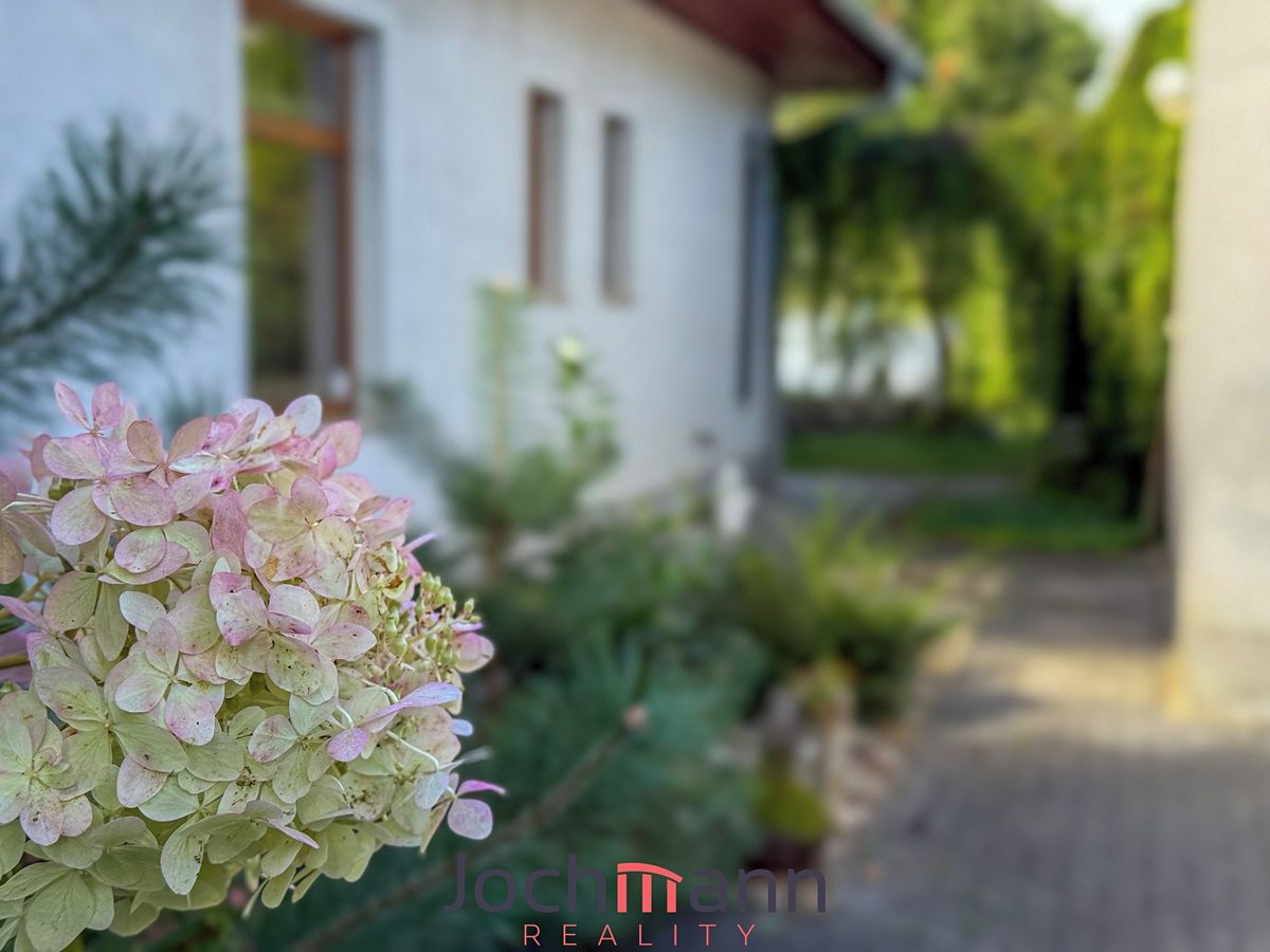 Prodej rodinného domu 320 m², pozemek 1393 m² – fotografie 4