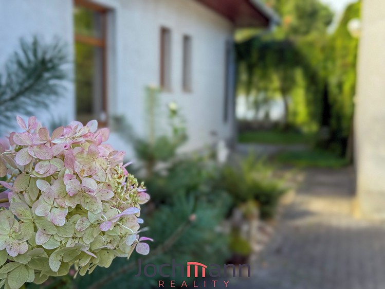 Haus zum Kauf, 320 m² (4 von 23)